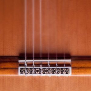 Modelo 10º Aniversario Serie Premium