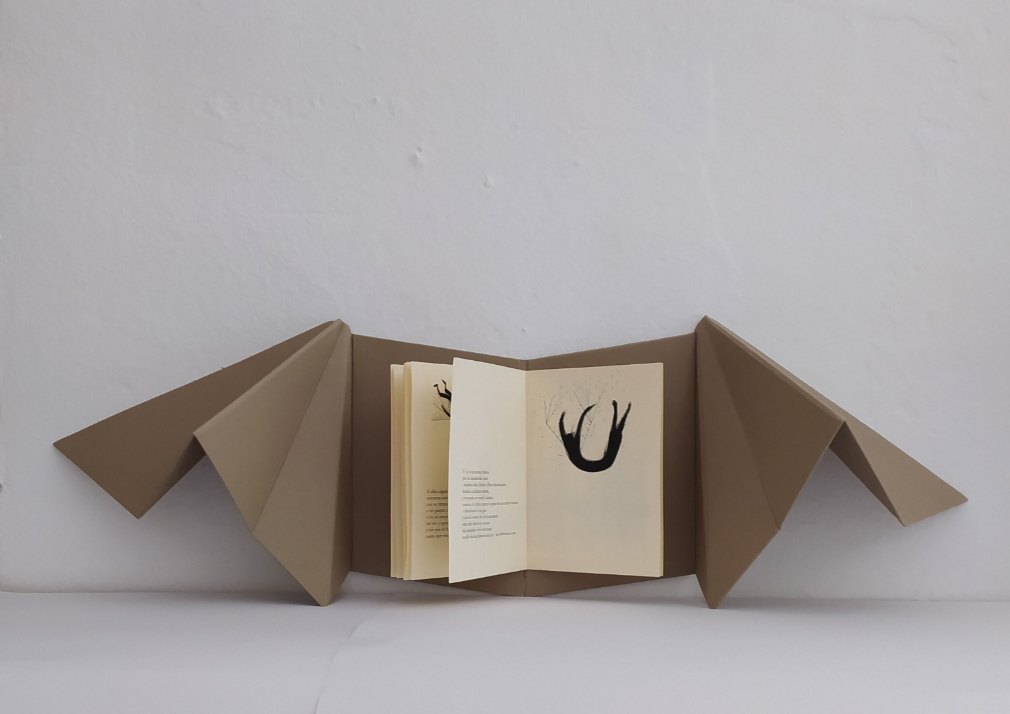 Dédalo e Ícaro - Imagen 3