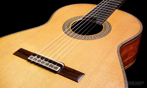 Modelo 10º Aniversario Serie Premium<br>Guitarras Artísticas