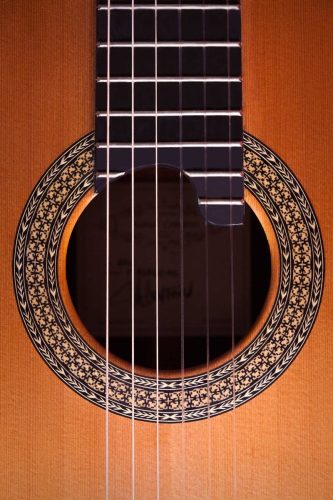 1ª Especial Serie Premium<br>Guitarras Artísticas