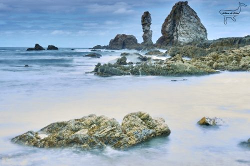 Silencio y Gueirua 114